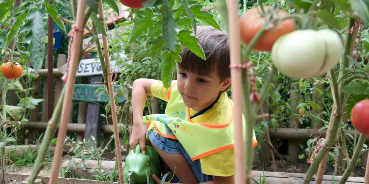 Kocaeli'de Lokomotif Çocuk Köyü'nde hasat sevinci