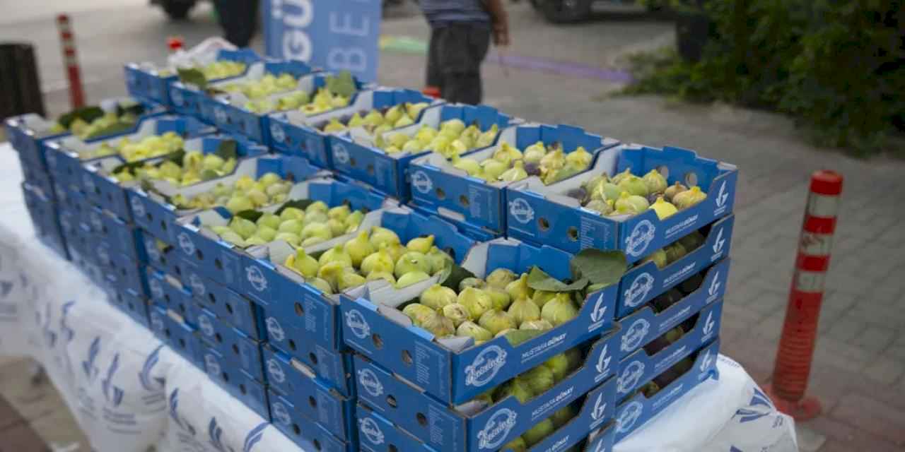 İzmir Güzelbahçe'de dalında kuruyan bardacağı belediye aldı
