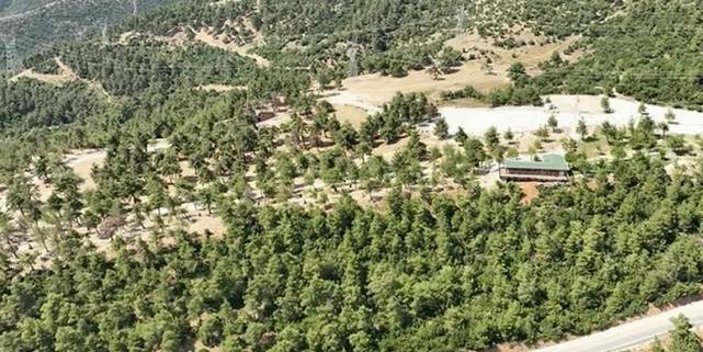 Bursa Gürsu'nun mesire alanı küllerden temizlendi