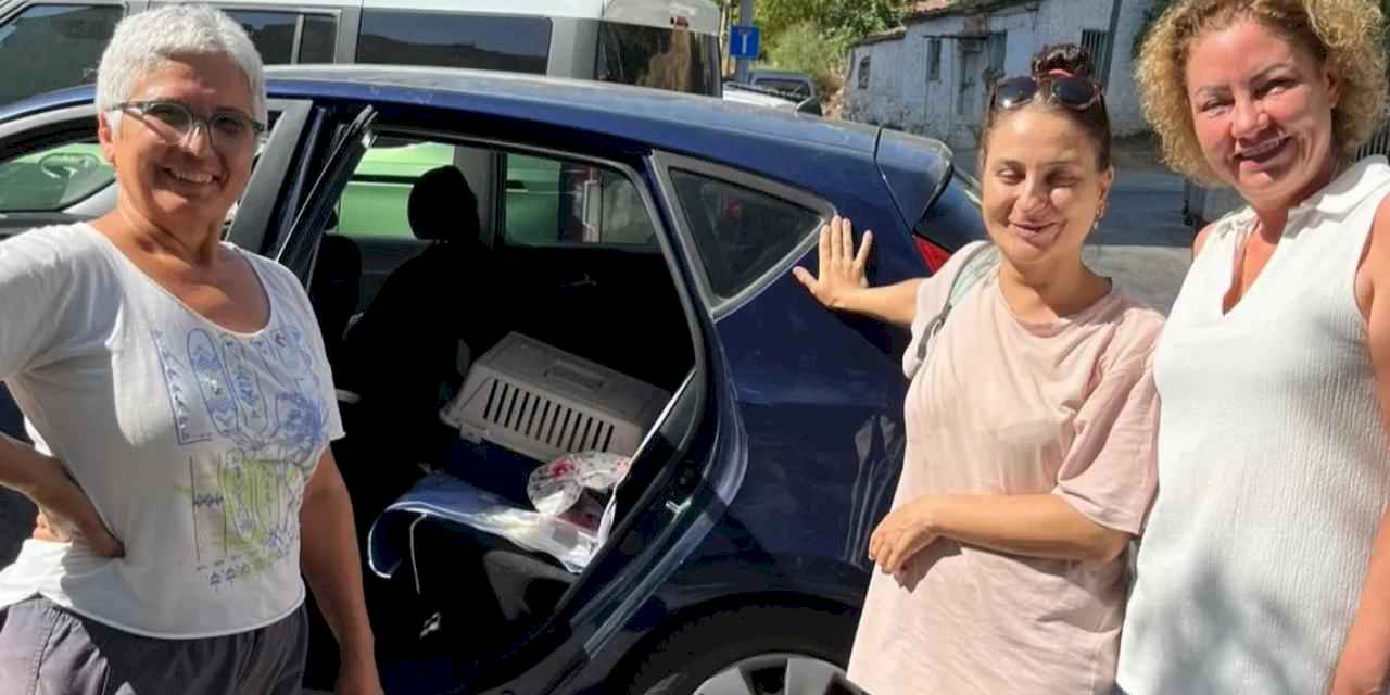 İzmir Narlıdere'de minik dostlar için seferberlik