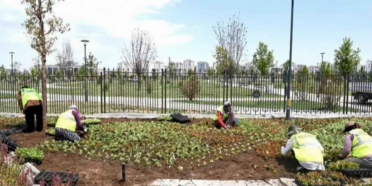 Malatya çiçek bahçesine döndü