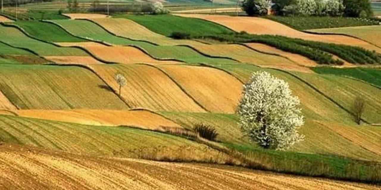 İki yıl ekilmeyen araziler devlet eliyle kiralanacak