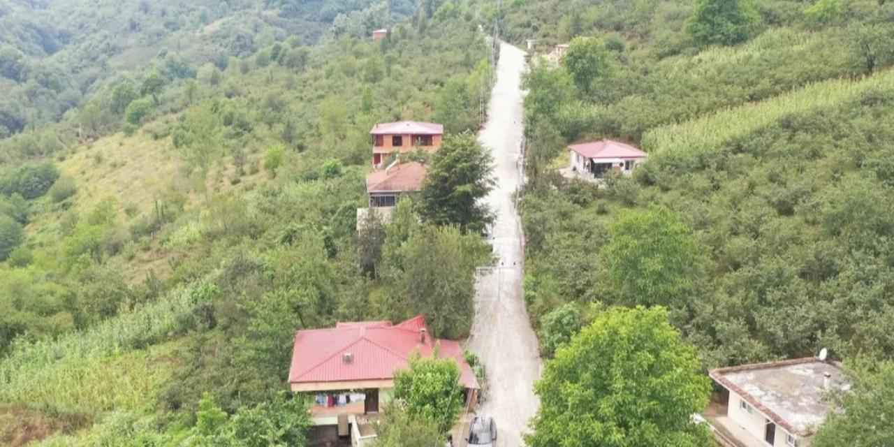 Ordu Büyükşehir'den beton yol çalışması