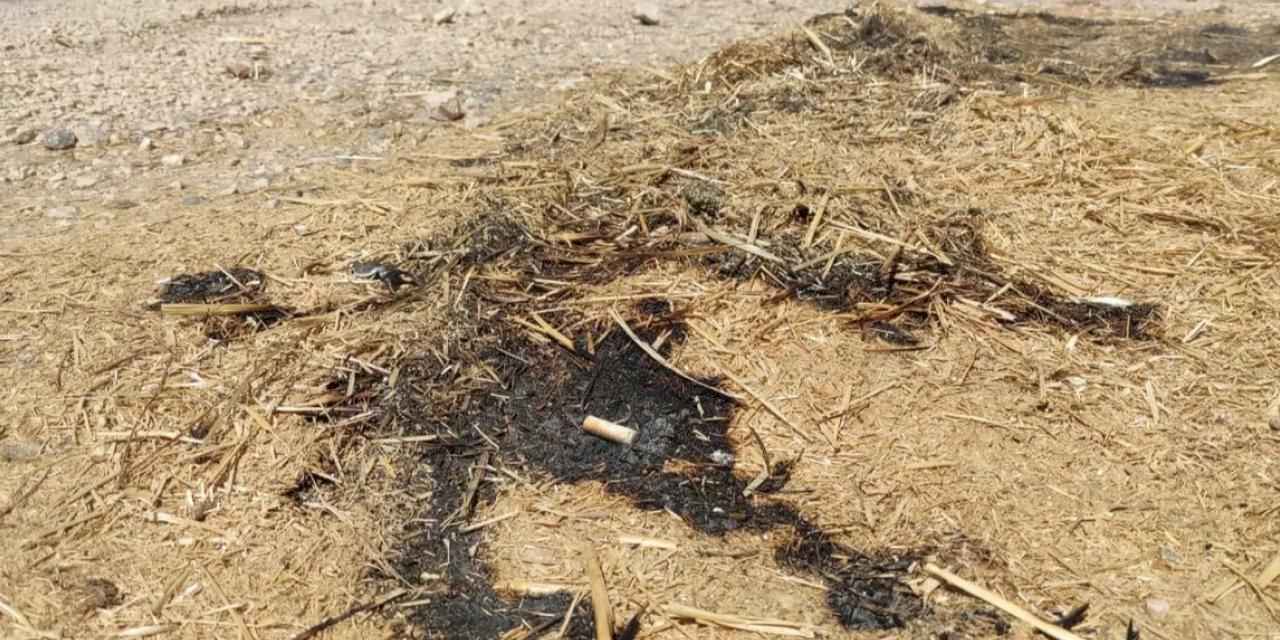 Bursa Yenişehir'de orman yangını son anda önledi