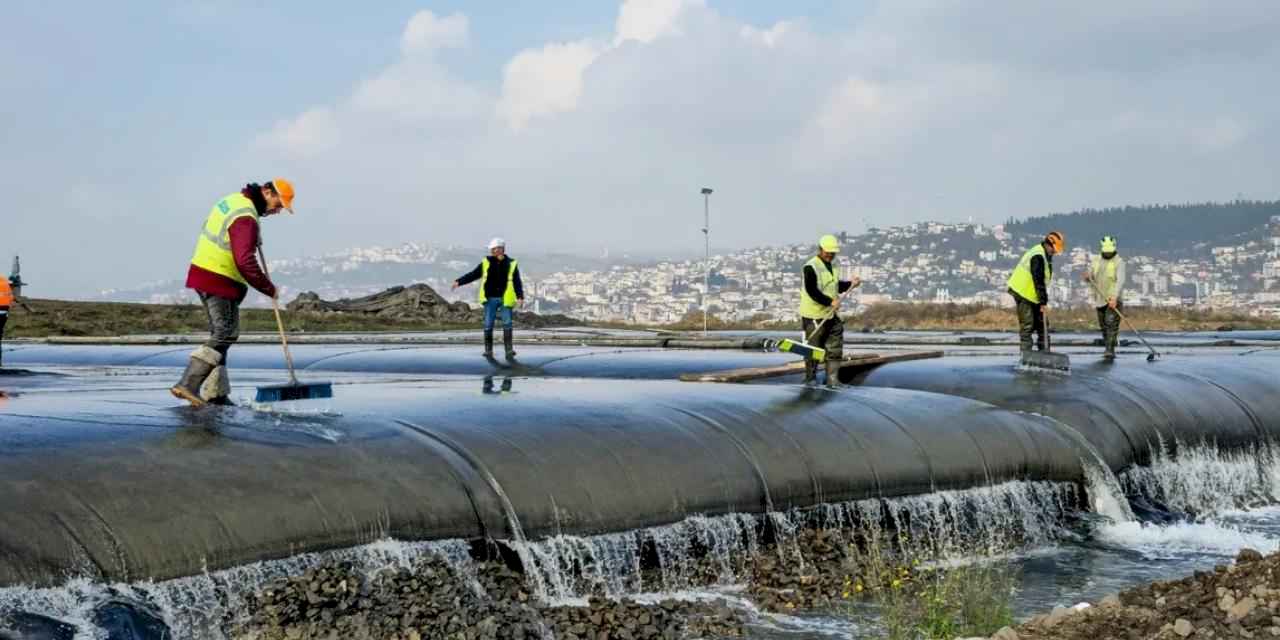 Körfez'de çamur gidiyor, yeni canlılar geliyor