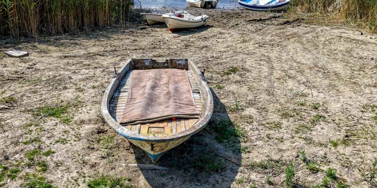 Sapanca Gölü için kritik çalıştay tamamlandı