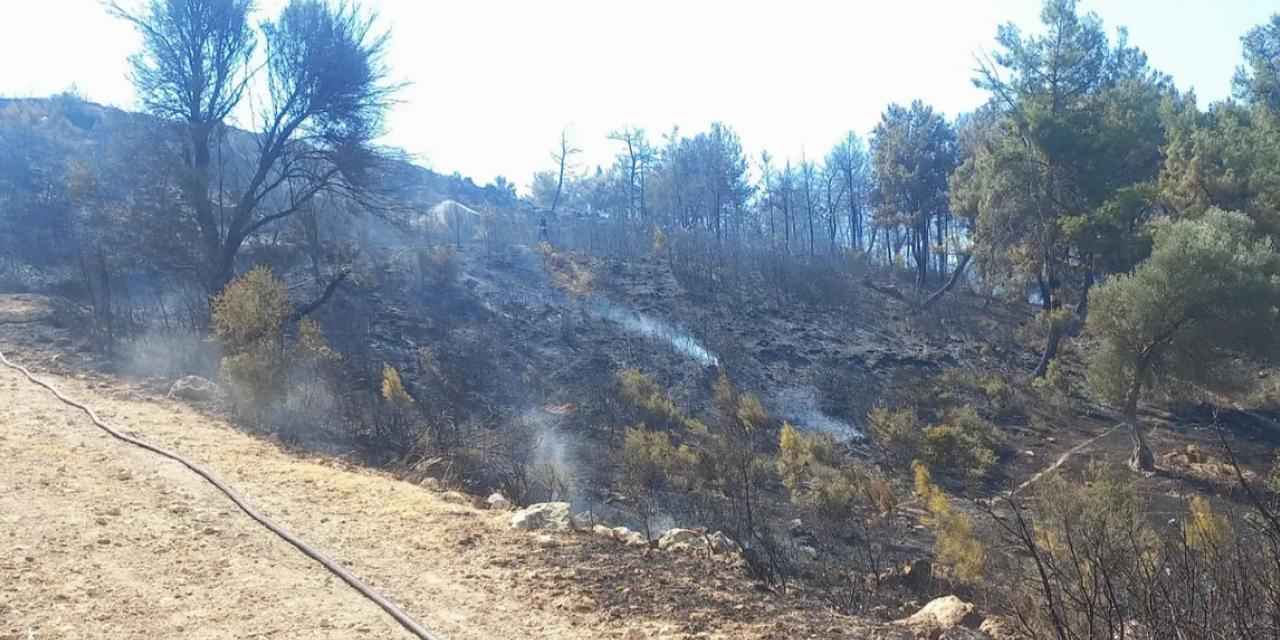 Buca ve Aliağa’da çıkan yangınlar kontrol altında