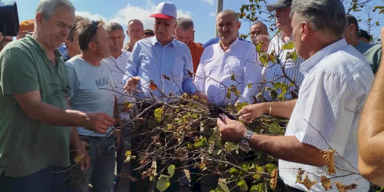 Sakarya’da fındık krizi uyarısı!