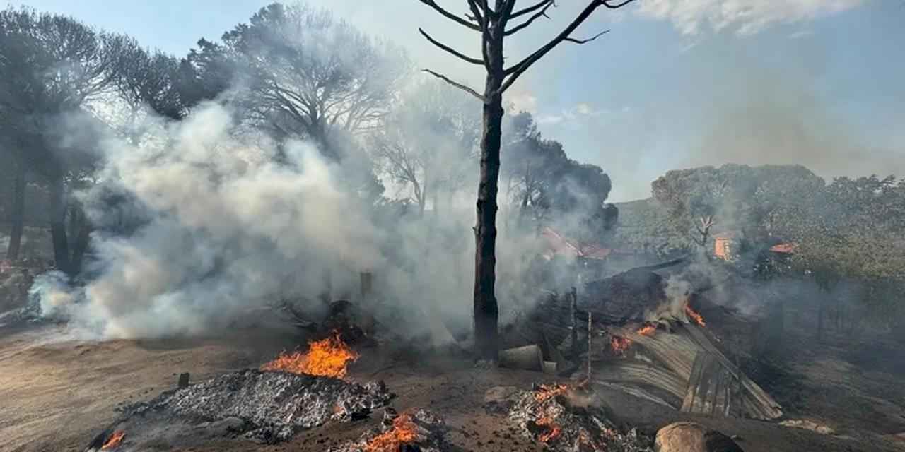 İzmir İtfaiyesi Bergama’da alevlerle mücadele ediyor