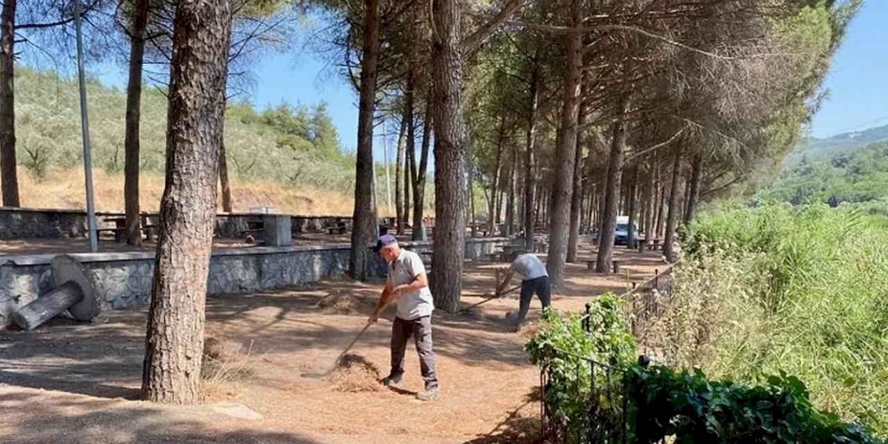 Gemlik Kurtul Piknik Alanı'nda kapsamlı temizlik