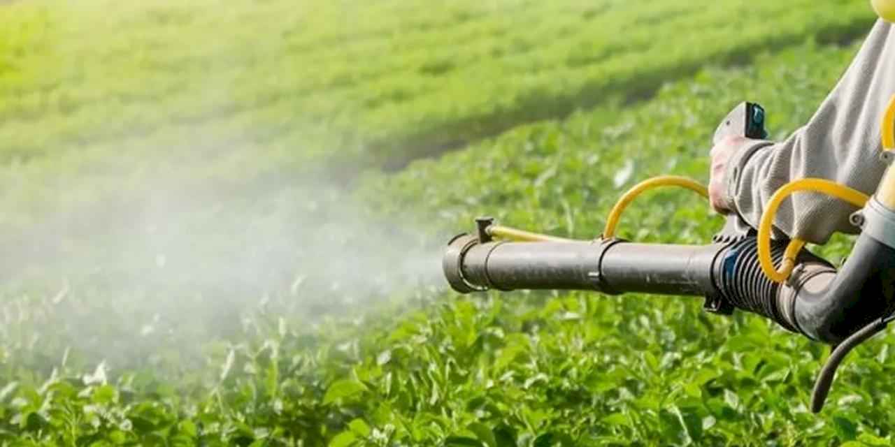 Manisa'dan üreticilere büyük destek