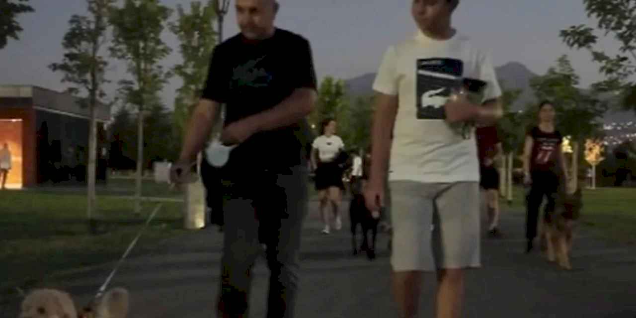 Kayseri Büyükşehir'in köpek parkuruna tam not