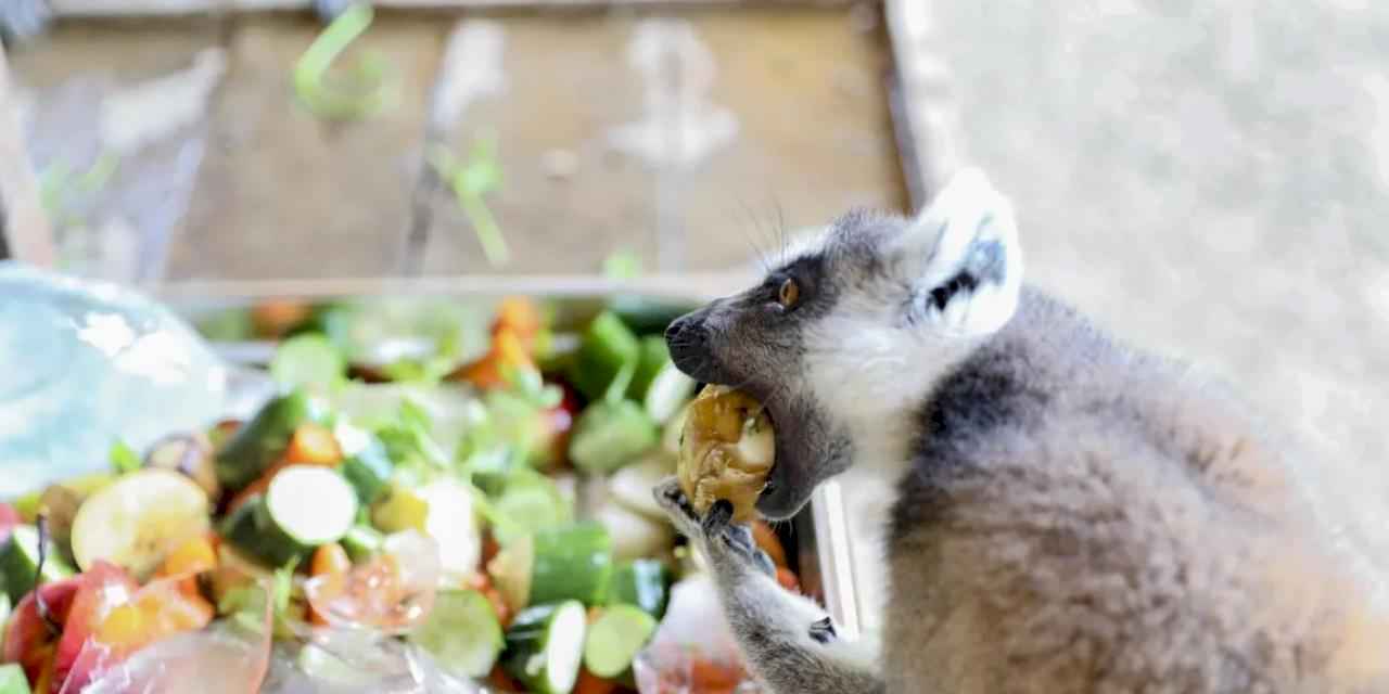 Mersin Tarsus Doğa Parkı’nda yaz tedbirleri