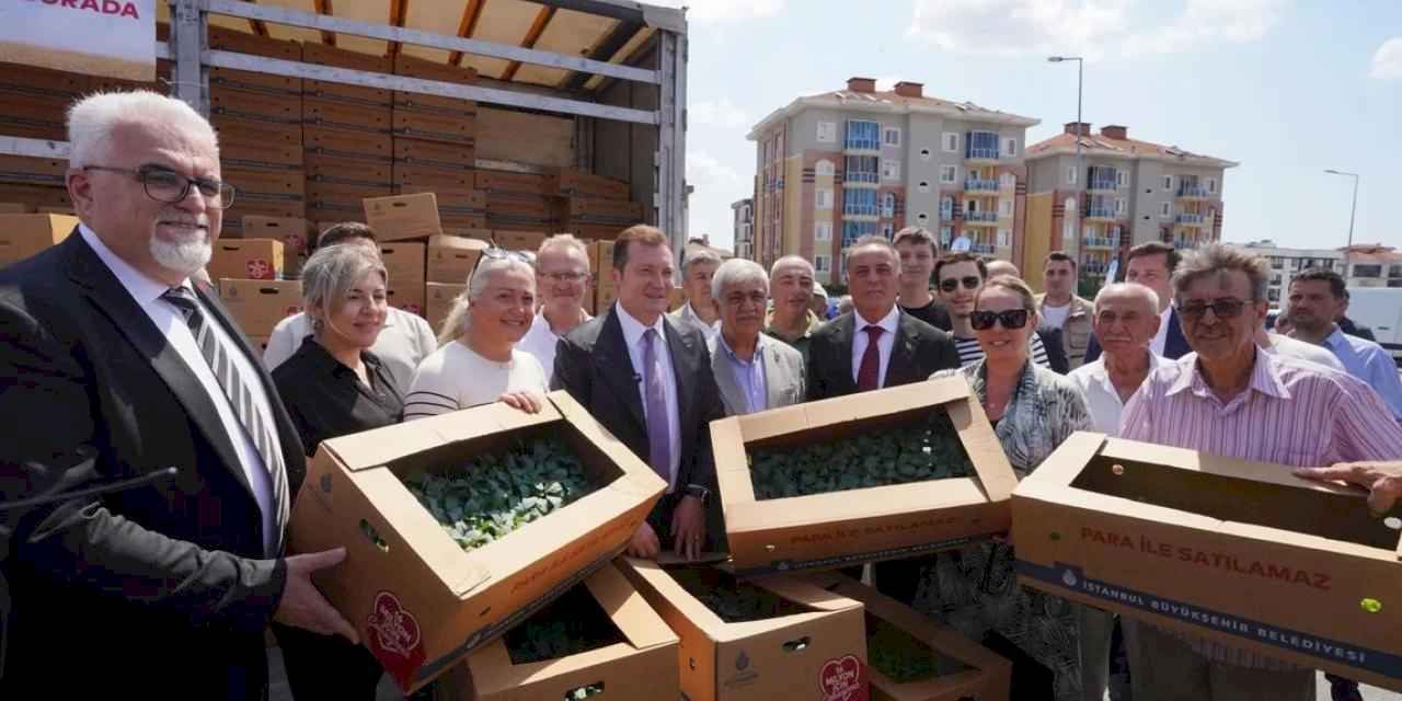 İstanbul'dan çiftçilere 5 yılda 70 milyon fide desteği