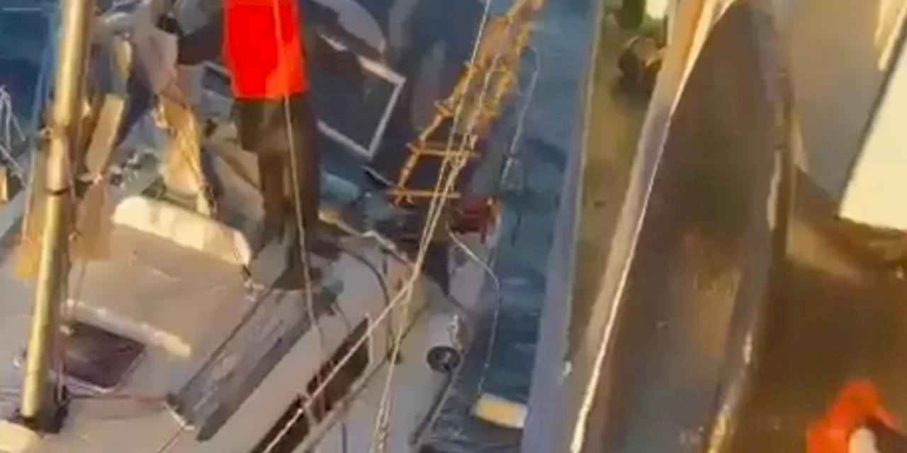 Denizde üstün cesarete IMO'dan teşekkür mektubu