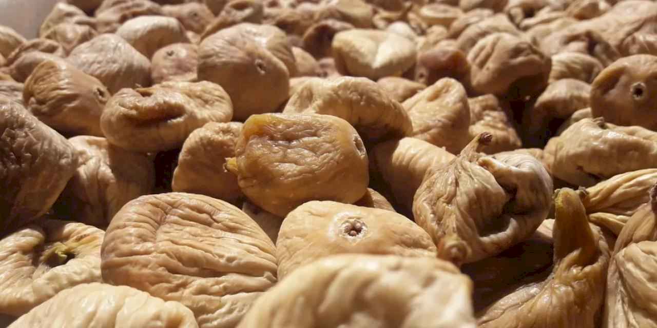 Kuru incirin gıda güvenliği için 19 bin kerevet dağıtıldı