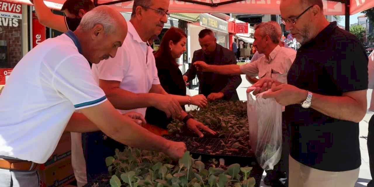 İzmit'ten vatandaşlara fide hediyesi