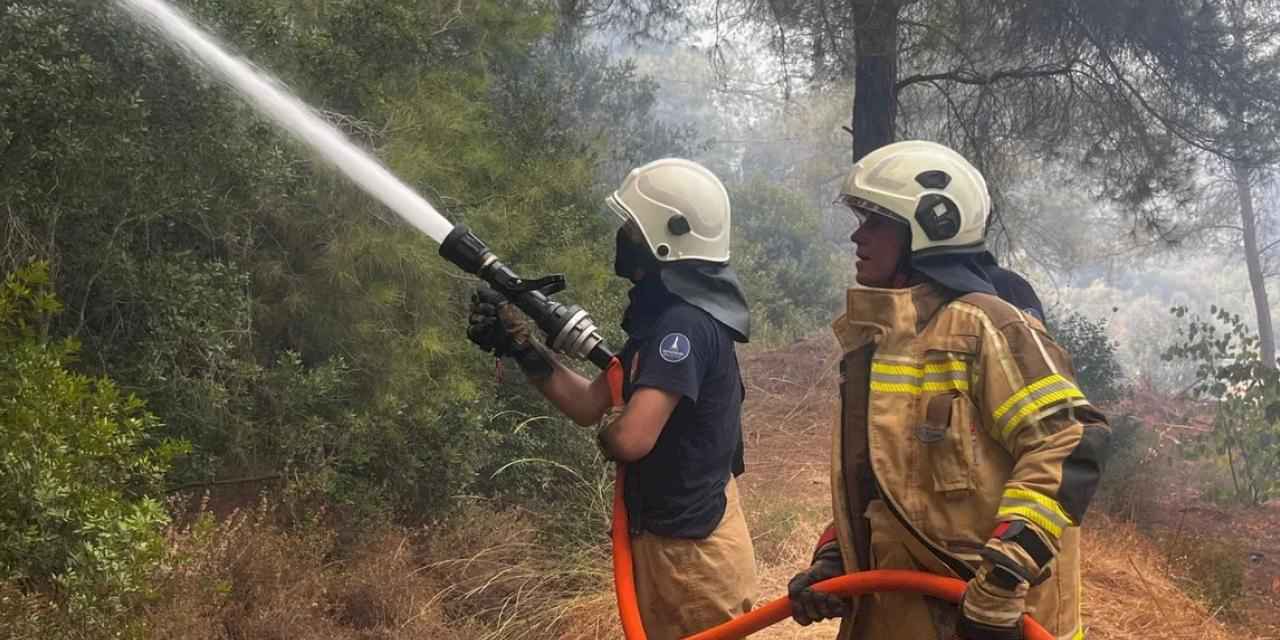 İzmir İtfaiyesi Menderes’te alevlerle mücadele ediyor