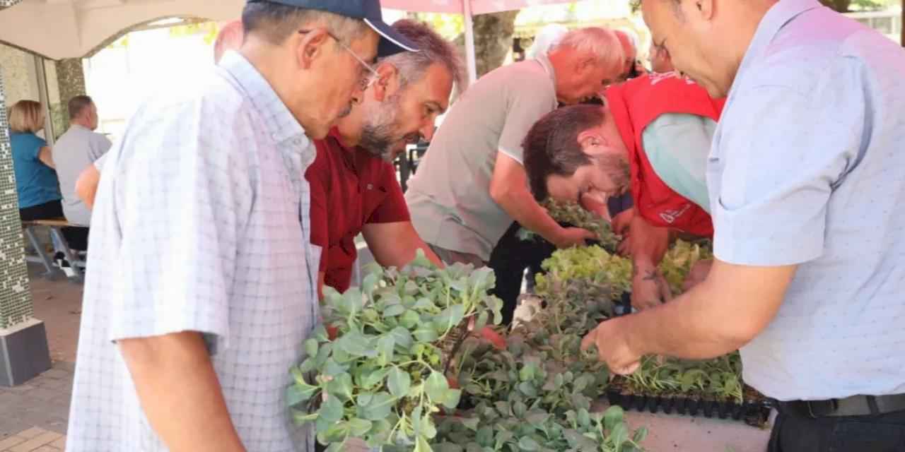 İzmit’te başlayan fide desteği, Gebze köylerine ulaştı