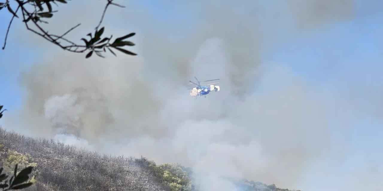 Bursa Orhangazi'de orman yangını!
