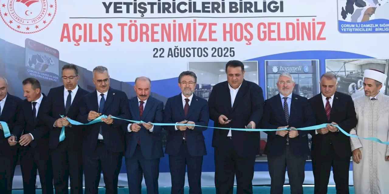 Çorum'da hayvancılığa güçlü destek