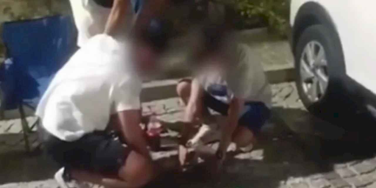 Mudanya Zabıtası çevreyi kirleten gençlere çöp toplattı, ceza kesti!