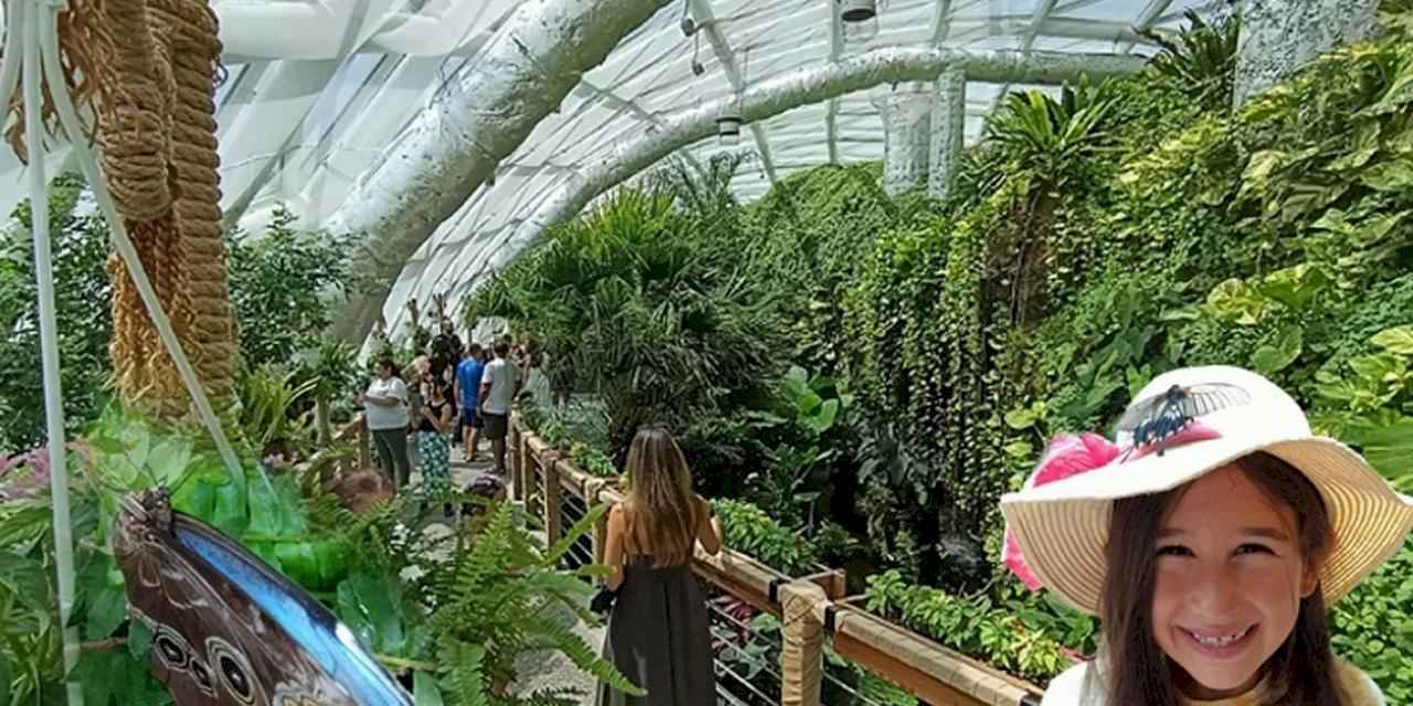 Konya'nın tropikal bahçesi ziyaretçileri büyülüyor