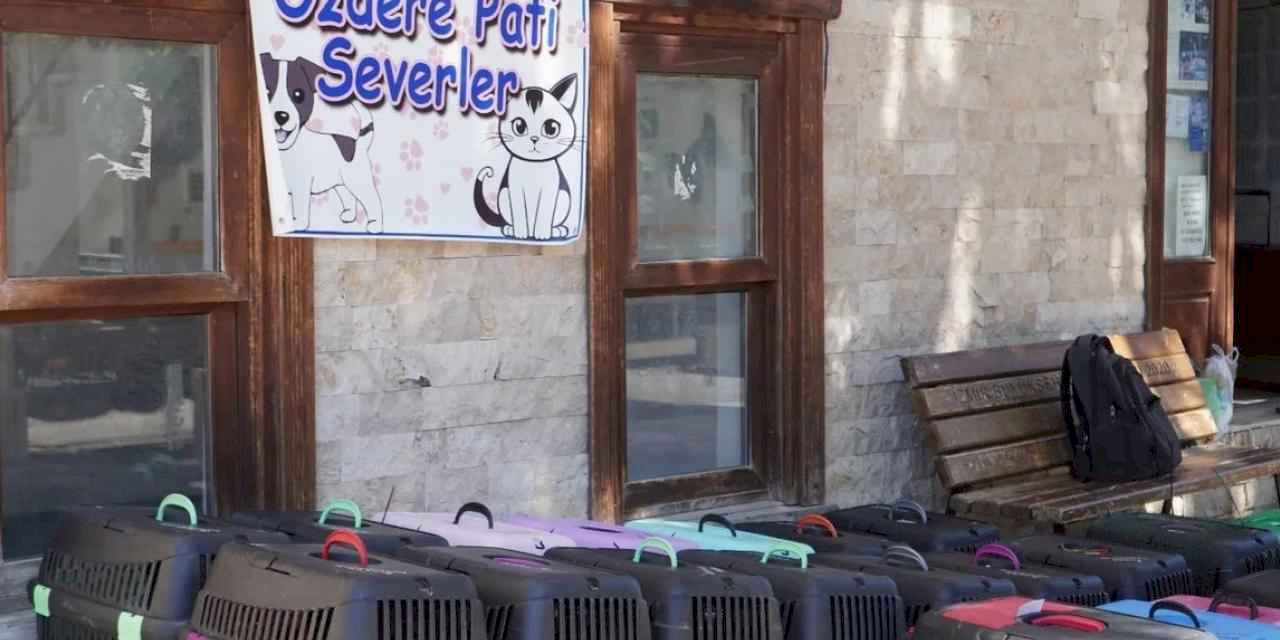 İzmir'de 7 bin kediye mobil kısırlaştırma