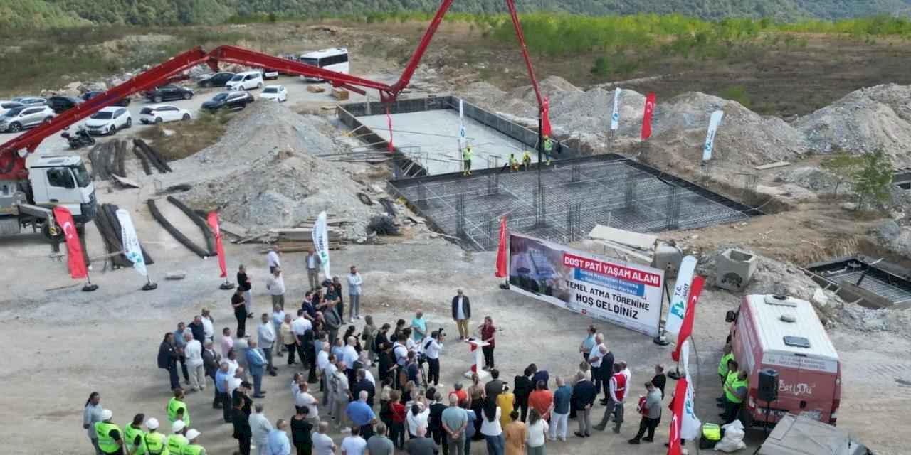 İzmit'te pati dostlara yeni yaşam alanı