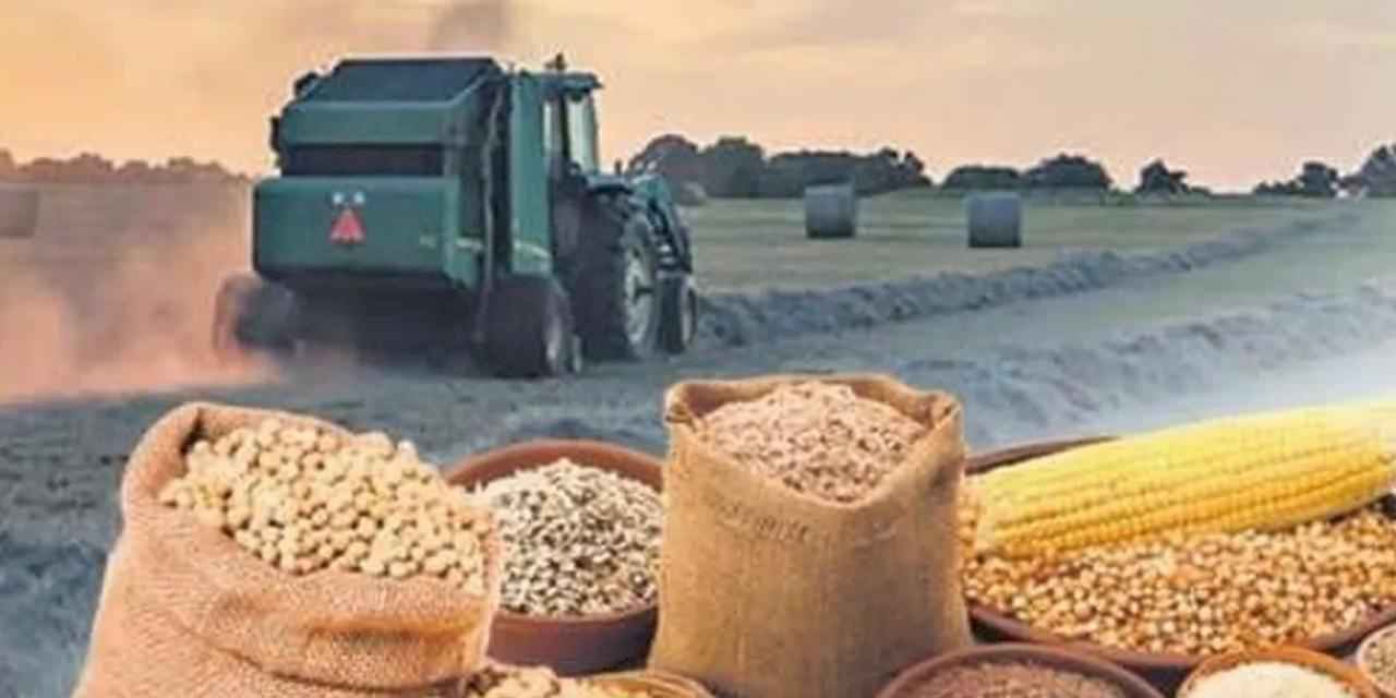 Tarımsal ürün fiyatları ve endekslerde yükseliş