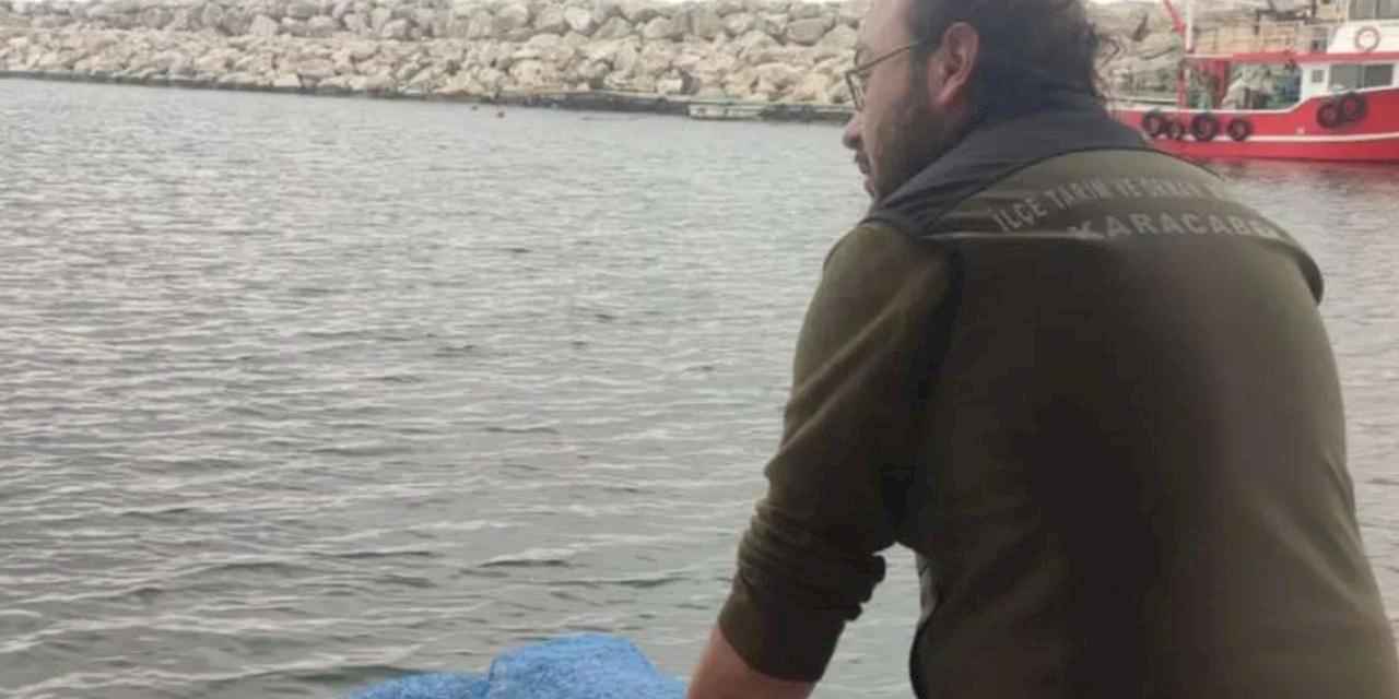 Bursa’da avcılığa açık kum şırlanı ve kara midye alanları belirlendi