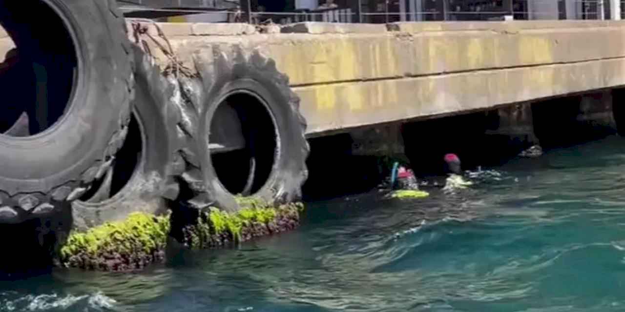 Kaybolan Rus yüzücü için İstanbul Boğazı'nda arama çalışmaları sürüyor