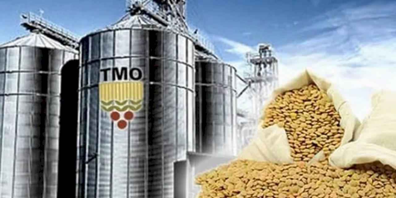 TMO’nun ithalat ihalelerine yeni düzenleme
