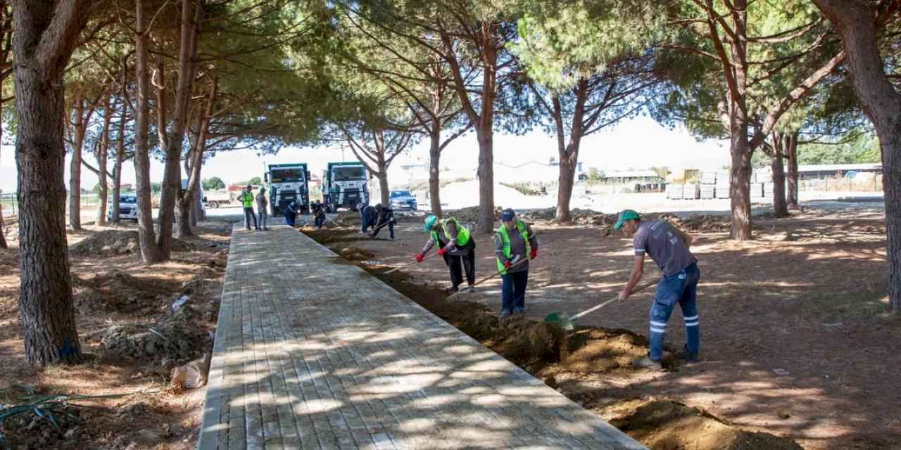 Bursa Yenişehir'e devasa park ve mesire alanı