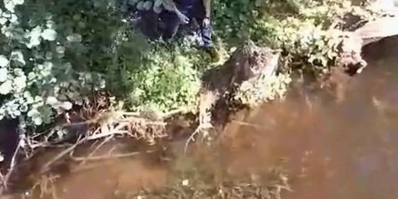 Çatalca'da mahsur kaplumbağa itfaiye tarafından kurtarıldı