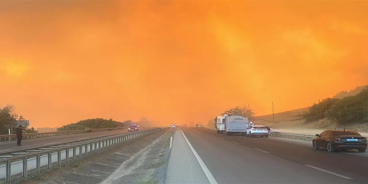 Bursa Yenişehir'de orman yangınına yoğun müdahale