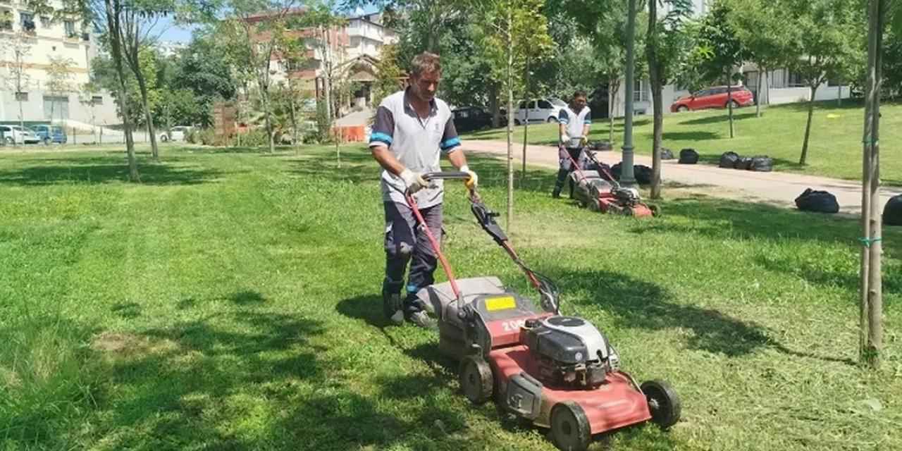 Gebze Tatlıkuyu Vadisi Kent Parkı'na düzenli bakım