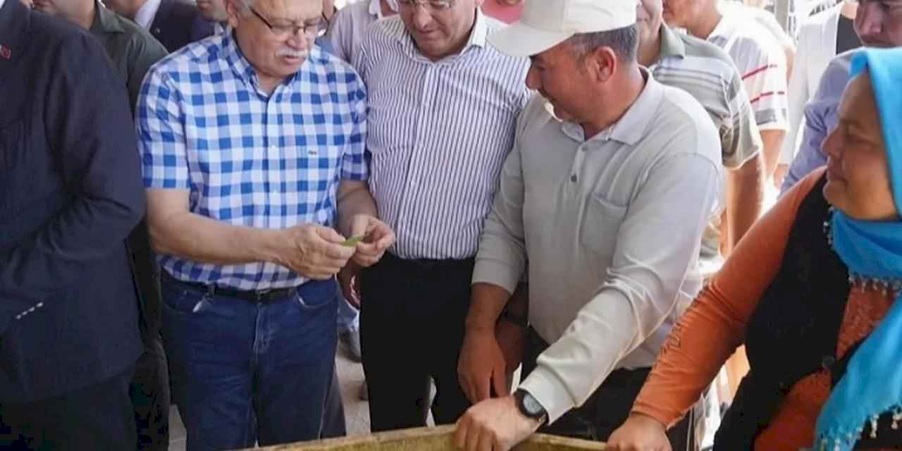 Balıkesir Ayvalık'ta çiftçilere özel destek