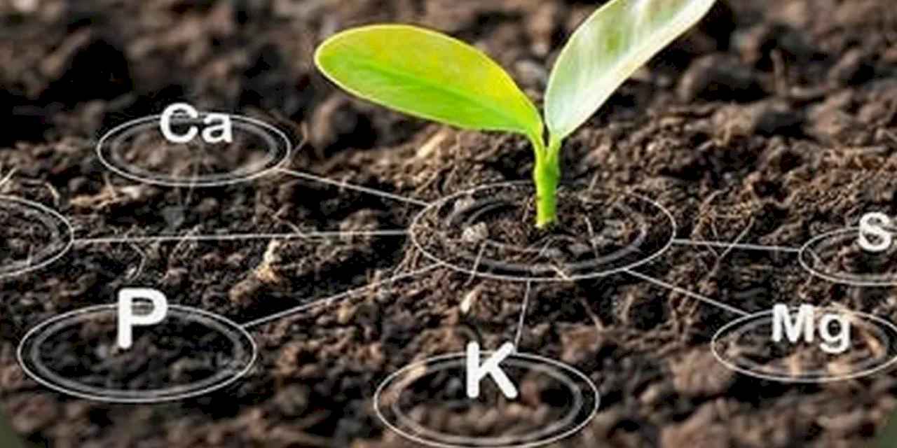 Antalya’da üreticiye tarım eğitimleri başlıyor