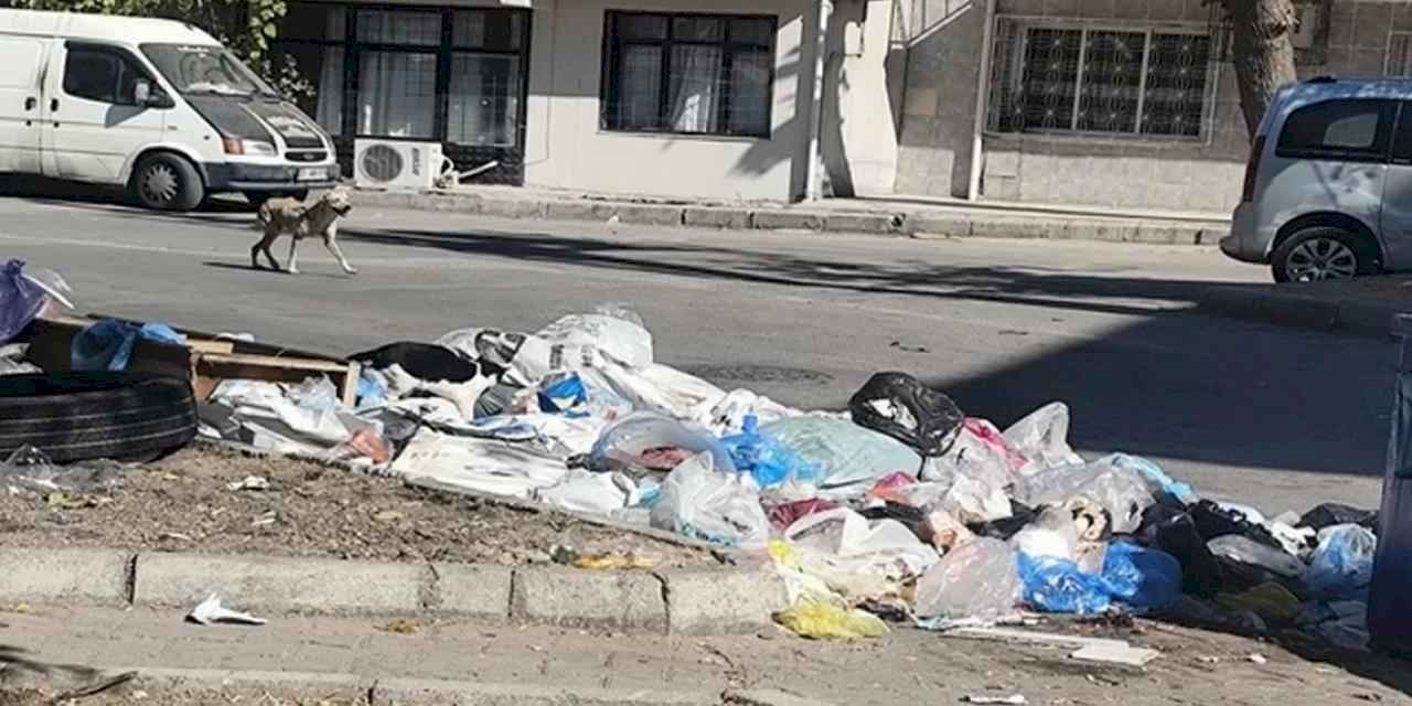 İzmir Buca’da çöp krizi! Mahalleler çöplüğe döndü, vatandaşlar isyanda
