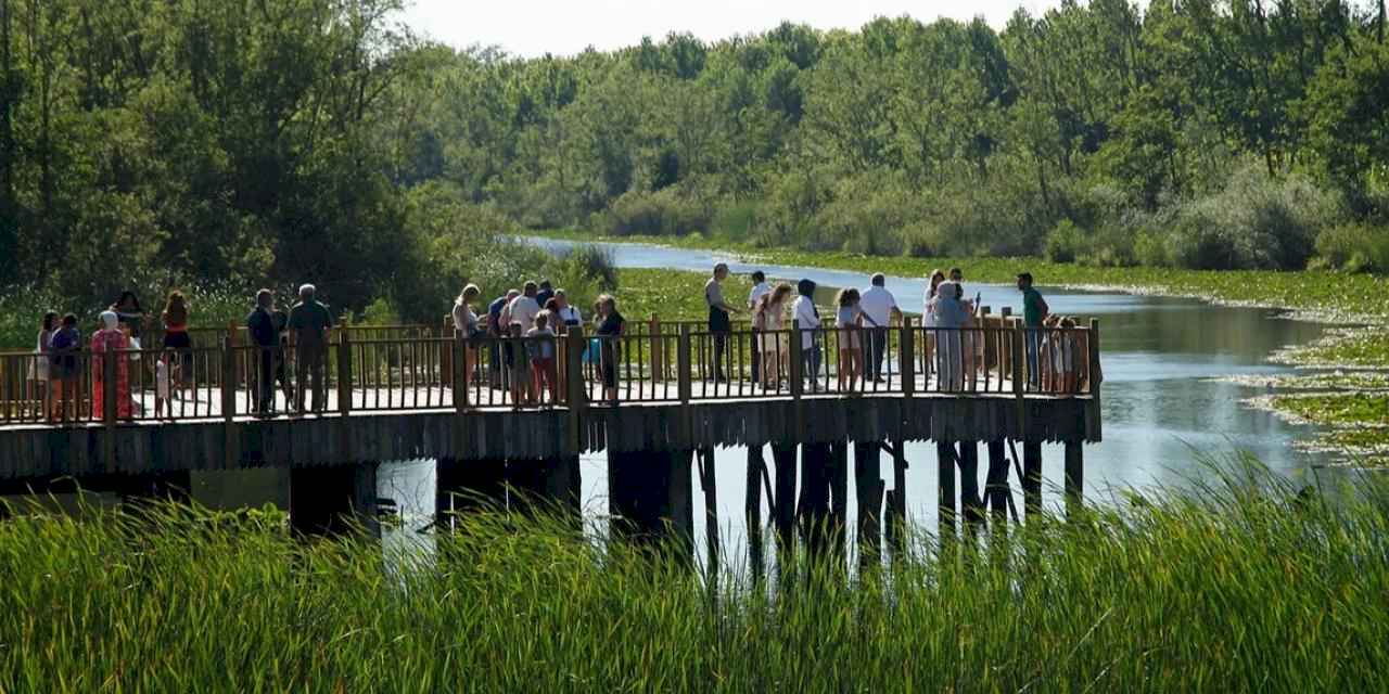 Acarlar Longozu yaz sezonunda 150 bini aşkın ziyaretçiyi ağırladı