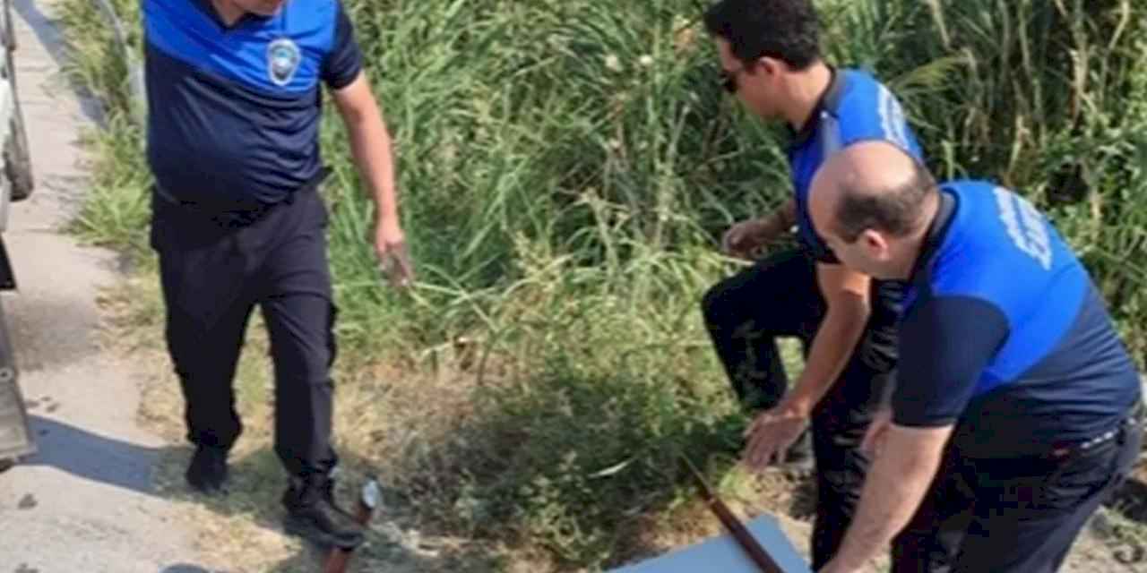 Pamukkale yolunda görüntü kirliliğine geçit yok