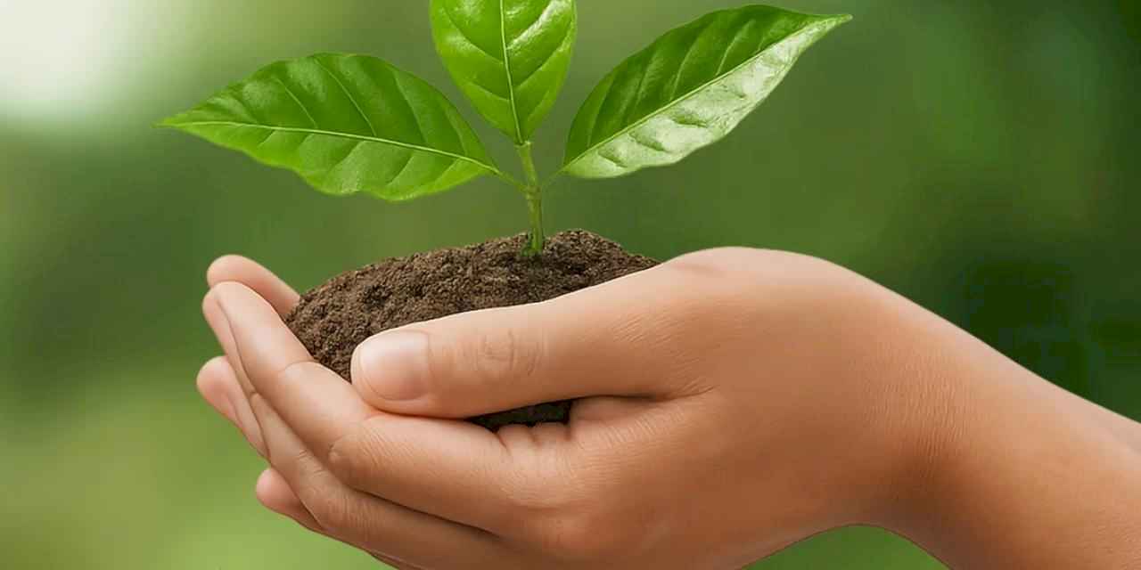 İzocam'dan 'Sürdürülebilirlik Raporu'