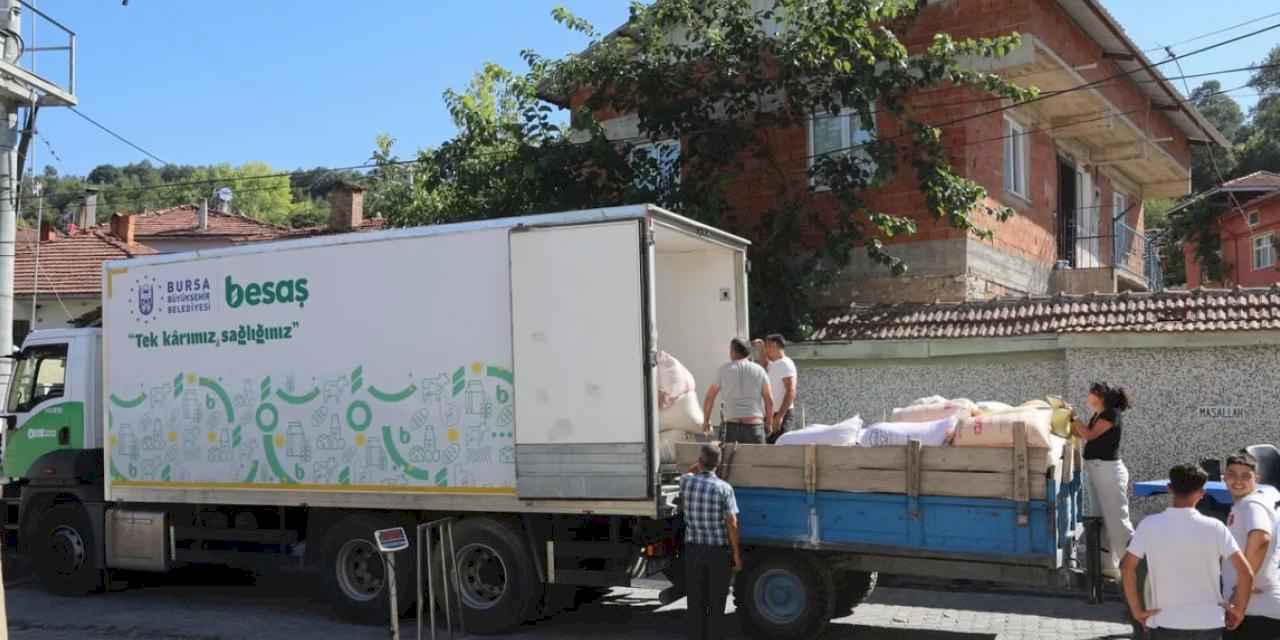 Bursa Büyükşehir'den 'siyez buğdayı' nefesi