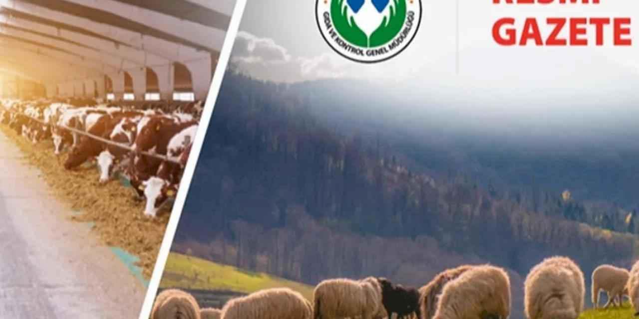 Koyun ve Keçi Yönetmeliği'nde değişiklik... Taahhütname uygulaması kaldırıldı