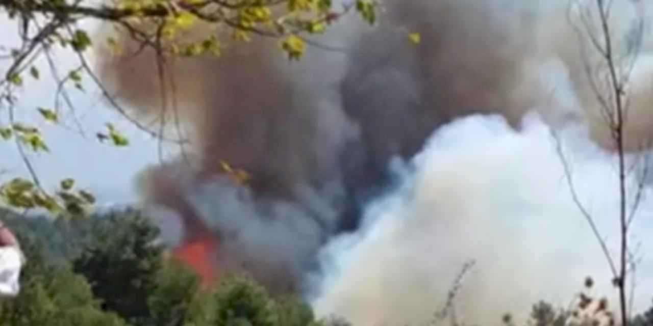 Bursa Gündoğdu Tepesi’nde orman yangını