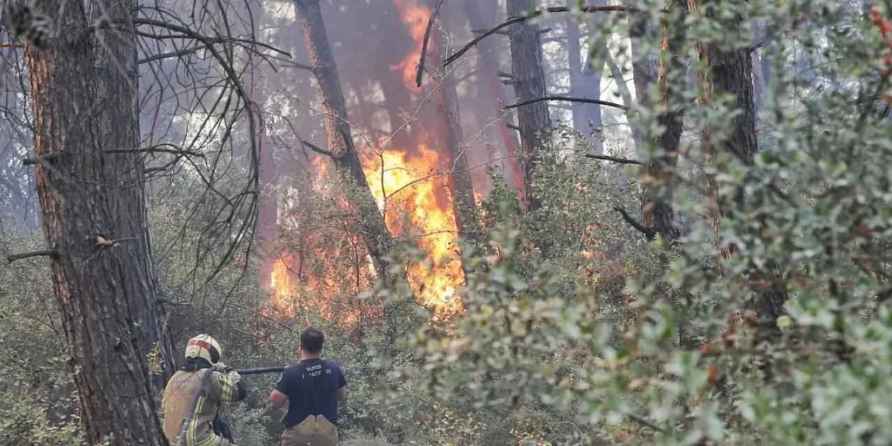 Bursa Büyükşehir'den Gündoğdu yangını seferberliği