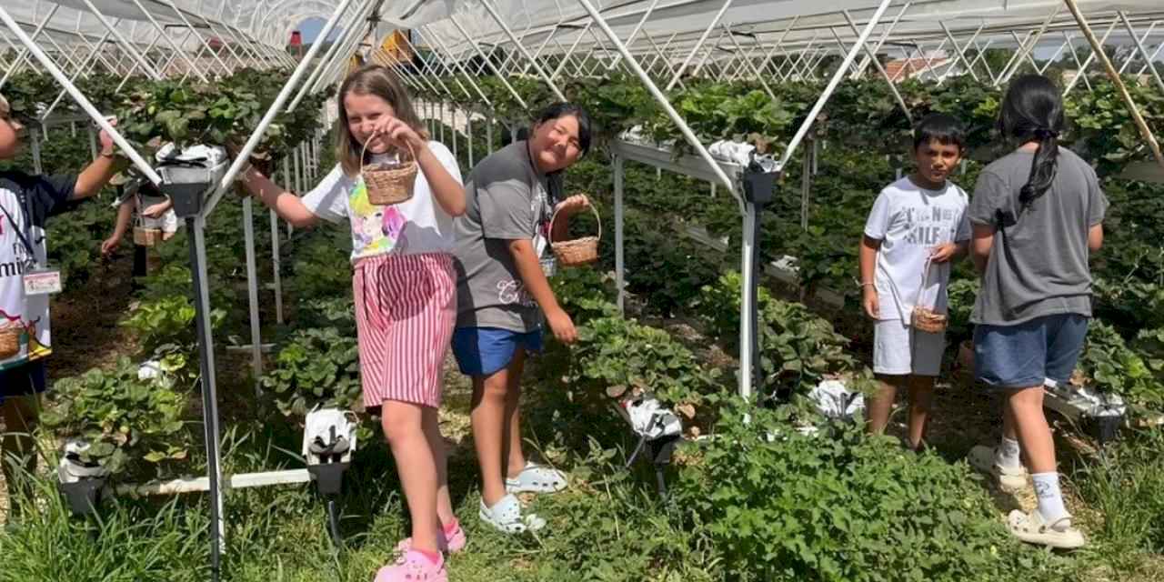 Eskişehir'de Taşlık Doğa Yaz Okulu sona erdi