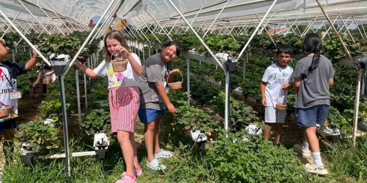 Doğanın kalbinde bir yaz masalı