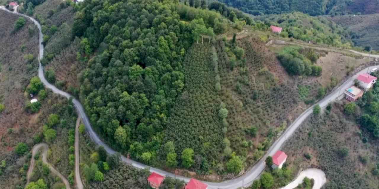 Ünye Pelitliyatak’ta mutlu son!